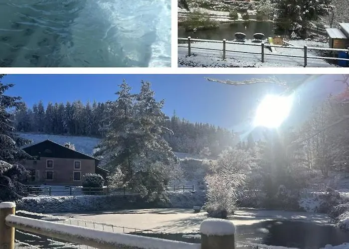 Апартаменты Charme Et Detente, Sauna, Spa,etang Et Terrasse Privee